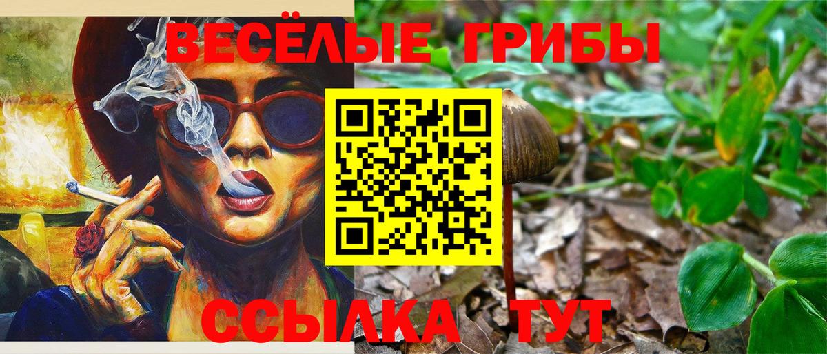 Галлюциногенные грибы Psilocybine cubensis Калач-на-Дону