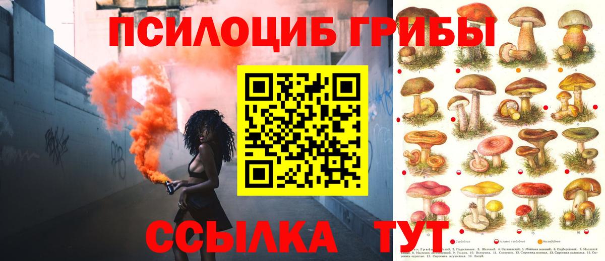 Калач-на-Дону  Псилоцибиновые грибы MAGIC MUSHROOMS  Галлюциногенные грибы прущие грибы  Вход с VPN 
